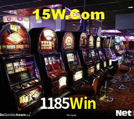 Experiência VIP 1185Win