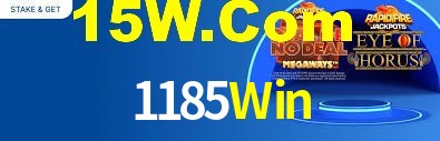 Premium Interface 1185Win